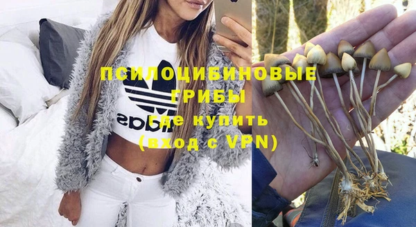 прущая мука Белоозёрский
