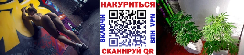 МАРИХУАНА ГИДРОПОН  купить наркотики цена  Вельск 